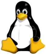 tux-linux-penguin.jpg