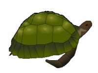 turtle porgressing slow