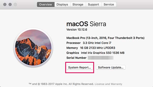 Launching system report for your macbook